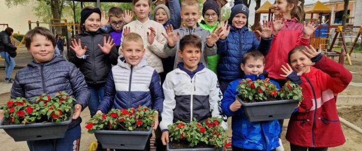 Látni és cselekedni… – fenntarthatósági hét a Gyakorlóban
