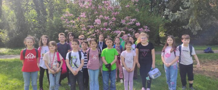 Gyakorlósok a Pepi-kertben „Szorgos Hangya” módra…