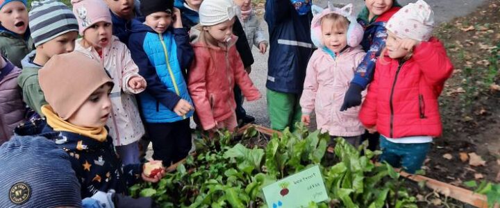 Eljöttek hozzánk az őszi csodák – Gyakorlósok az erdei ovi-suliban…