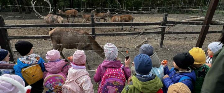 Hanna, Pákó és Bátor nyomában: Állatok Világnapja az ovisaink apraja-nagyjával…