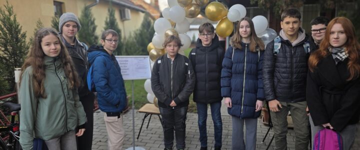 Sikeres Szereplés a XX. TELC Vármegyei Angol Versenyen