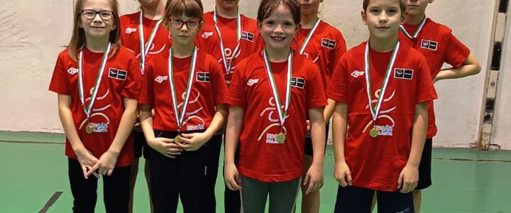 Kosárpalánta Bajnokság