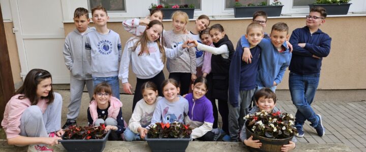 Virágba borult a Gyakorló udvara…